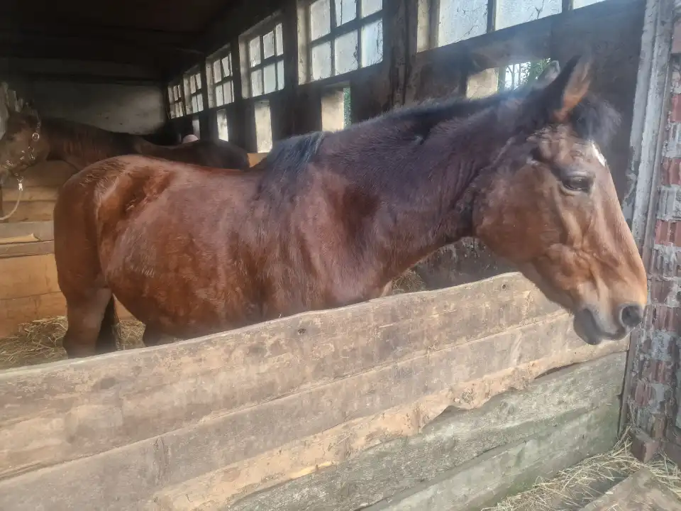 Geplante Projekte umfassen Verbesserungen 