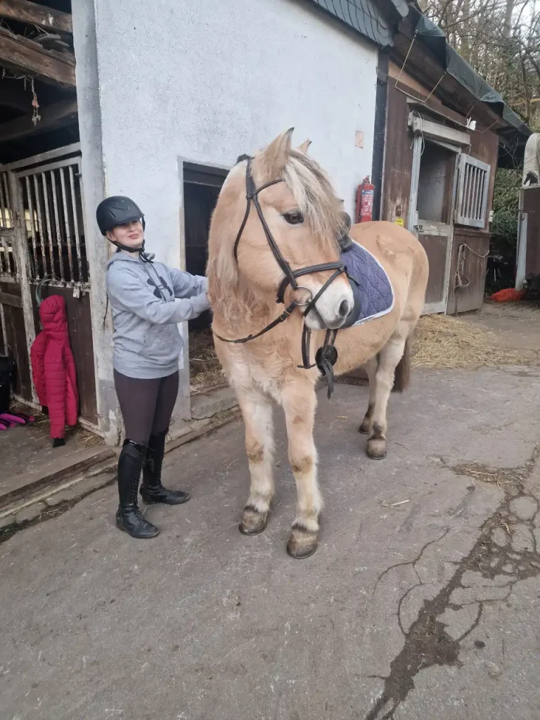 Unser Familienreiterhof vereint Erfahrung