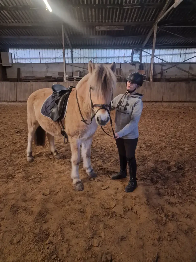 PiSaWi ist mehr als ein Reiterhof