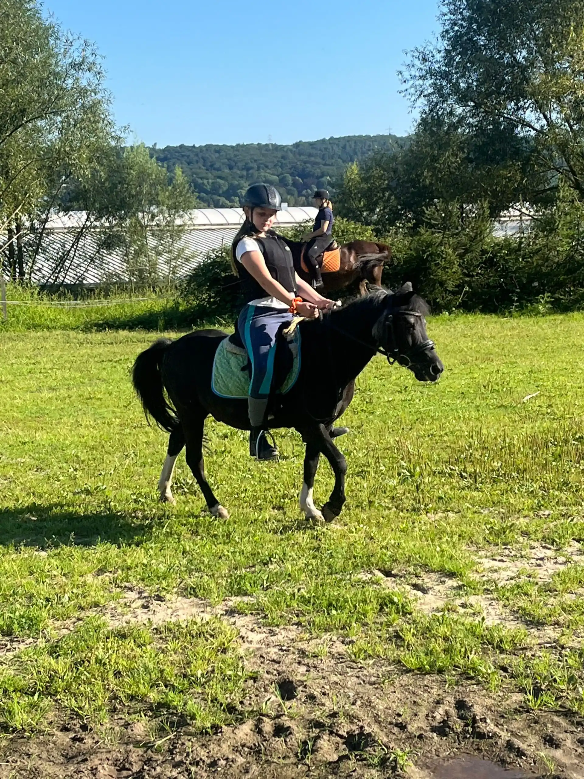 Unser Familienreiterhof vereint Erfahrung