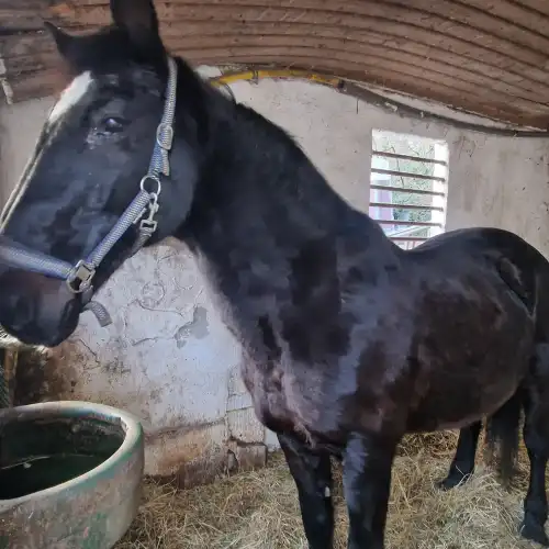 Jugendliche, Erwachsene und Senioren