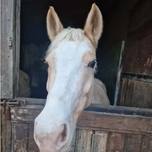 Ihre Unterstützung ermöglicht Investitionen