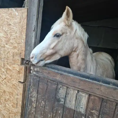 Bereich stellen wir laufende und geplante Projekte offen 