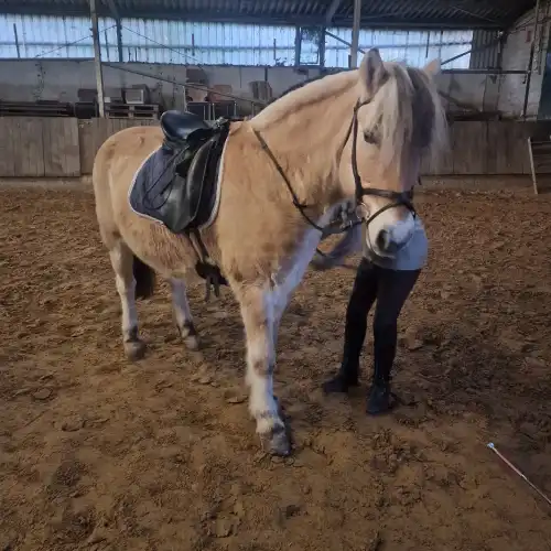 Ablauf und einen achtsamen Umgang mit