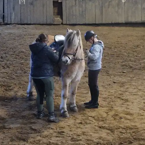 Jedes Pferd auf unserem Hof bringt