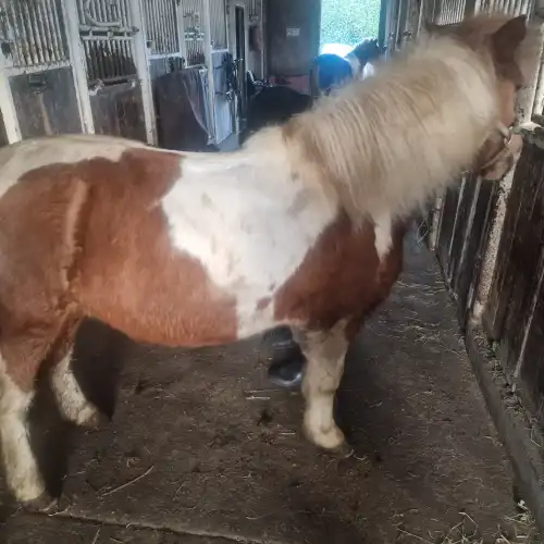 Persönliche Begleitung für 